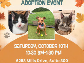 Humane Society To Host Adoption Event
