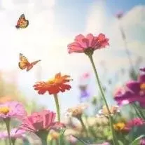 Ann Elizabeth Garrett