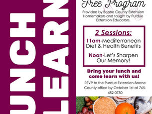Lunch & Learn Is Back