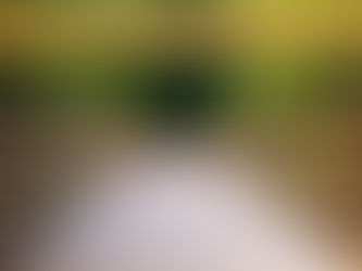 Turkeyfoot Pedestrian Bridge Closing Temporarily