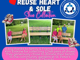 Shoe Collection Team Wins Bench