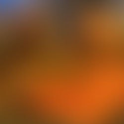 Christopher Alan Lewis