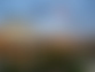 Witham Volunteers Offer Scholarships