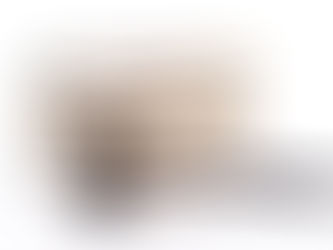 Boone CASE Task Force Helps In Investigation