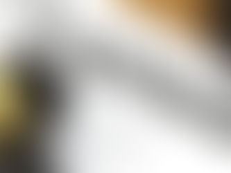 The Power of a Name: Why Victim Narratives Boost Support for New Laws.