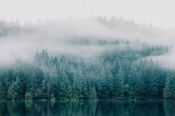 priscilla-du-preez-B9LlLJYmw74-unsplash (2).jpg