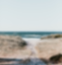 marten-bjork-iXed2ZaTobo-unsplash_edited_edited_edited.png