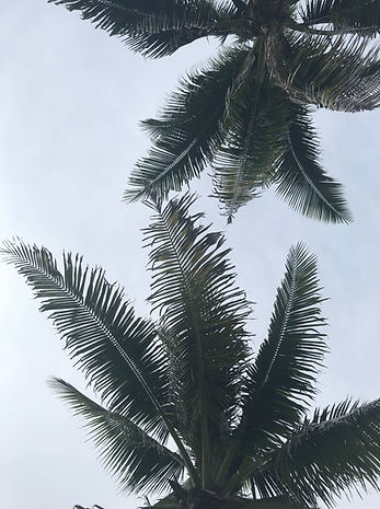 cesar-aloy-3glv055ZwdE-unsplash (1)_edit