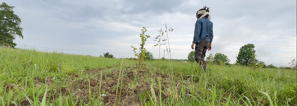 Screenshot 2025-06-14 at 11.59.21 AM.png