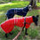 Thumbnail: Hygge Double Polar Fleece side view