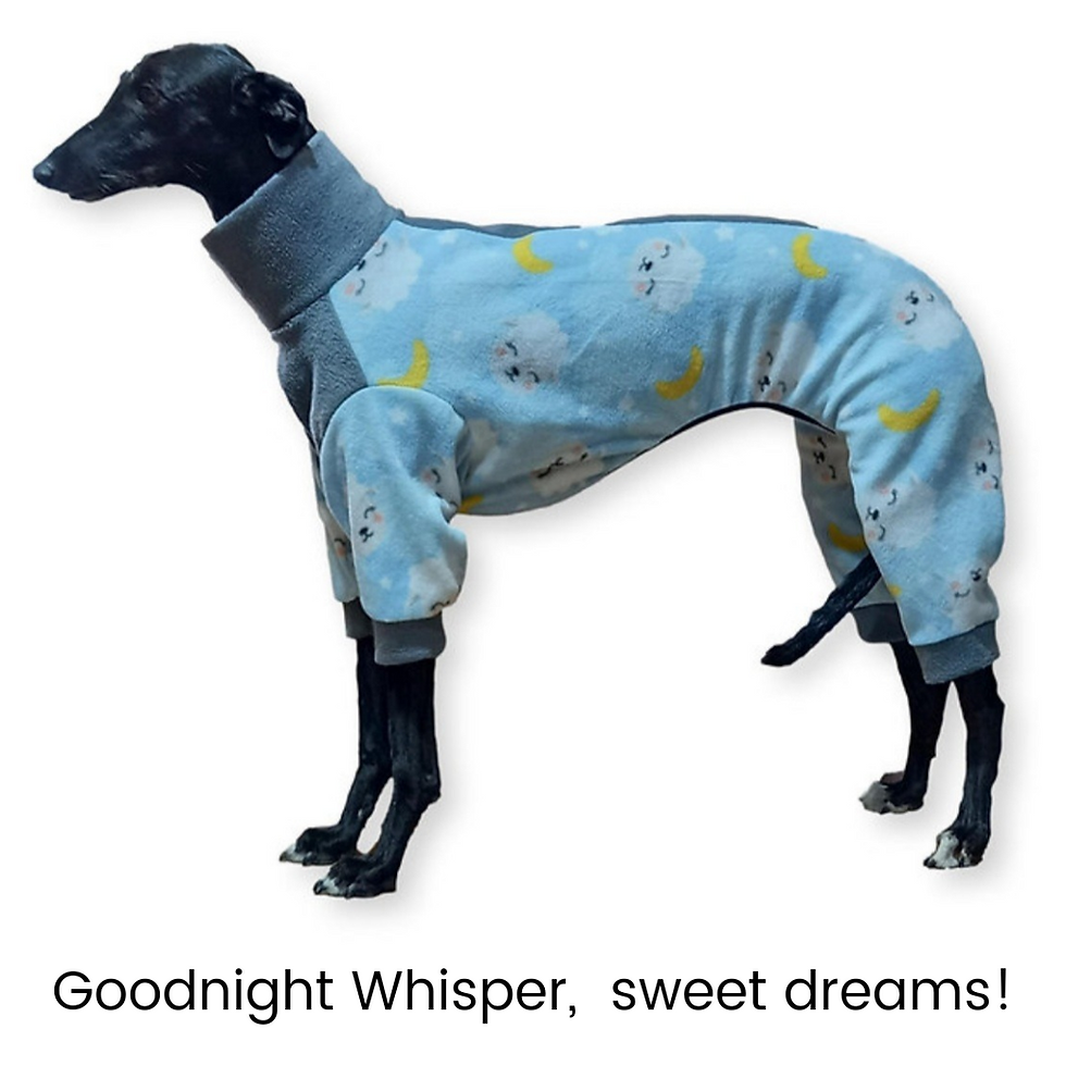 Thumbnail: Sleepy Zees PJ's side view