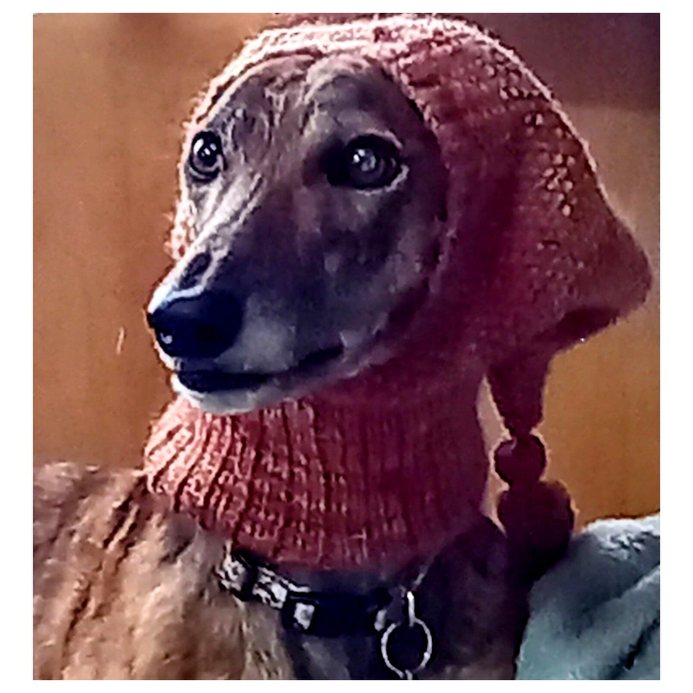 Hand-knitted Snood front view