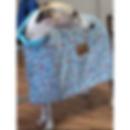 20240331_091313_clipped_rev_1.jpeg.jpg