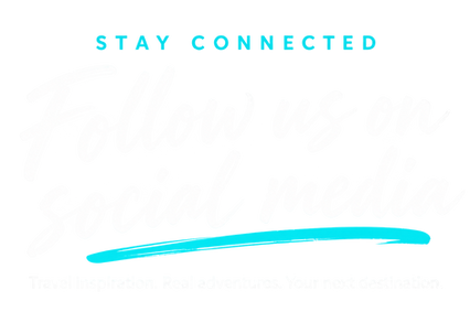 FOLLOW US ON SOCIAL MEDIA.png