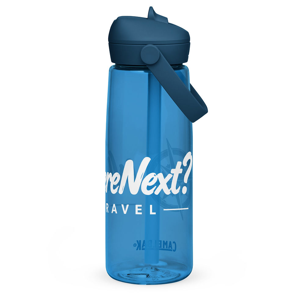 サムネイル： Flip Straw Water Bottle - Where Next? White Logo