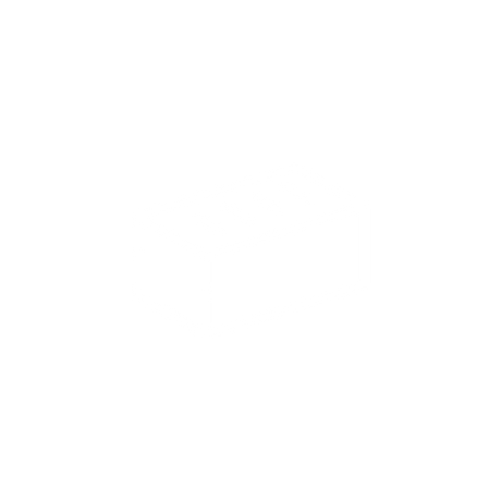 Logo Mr Brick_transparant_studly (1).png