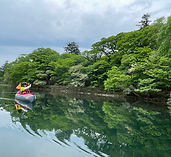 IMG_5338.jpg