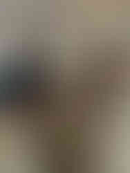 couple bathing turtle at turtle rehabilitation center le meridien bora bora