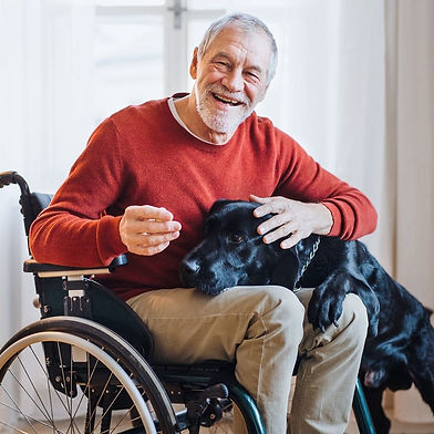 Man in wheelchair with dog