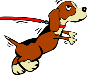 SORTIR VOTRE CHIEN