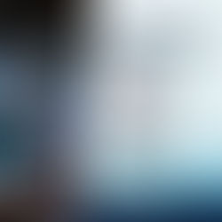 2026 Spring Learn to Dive