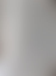 What Are My Answers To The 3 Most Important Questions? | 8/3/21