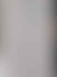 Kangaroos Dropping Bombs, Half Marathon & Potential Energy | 3/6/21