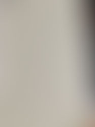 What Did I Learn From This Past Weekend? | 8/10/21