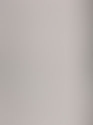 Fear or Love? | 3/2/21