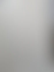 Why Are Economic Factors More Influential To A Voter's Decision-Making Than Social Factors? | 9/10/2