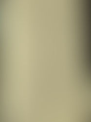 Have I Ever Felt That I Had To Give Up My Desires In Order To Be Truly Spiritual? | 7/26/21