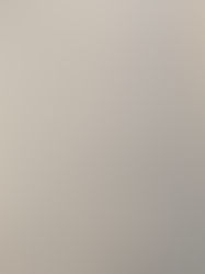 Unquestionable Standards | 3/9/21