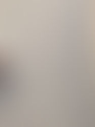 The $500,000 Visualization | 3/17/21