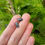 Thumbnail: Woodlice Earrings (Oxidised Silver)