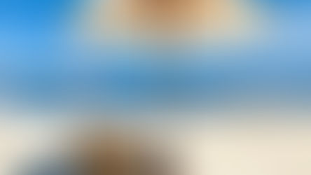 Escape the Cold: Why Grassy Flats is Your Ideal Winter Getaway