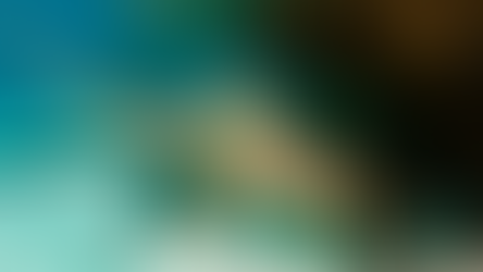 Lobster Mini Season 2024: An Extra Day of a Florida Summer Tradition