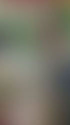 Officier d'Artillerie de la Garde Impériale au Second Empire