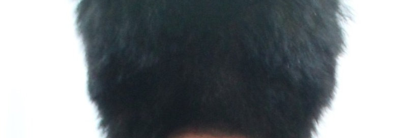 Colback en ours noir, Compagnies d’élites des Régiments de Hussard