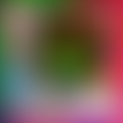 10/25 'so socialize' day party 4th saturdays @ gustos burger bar