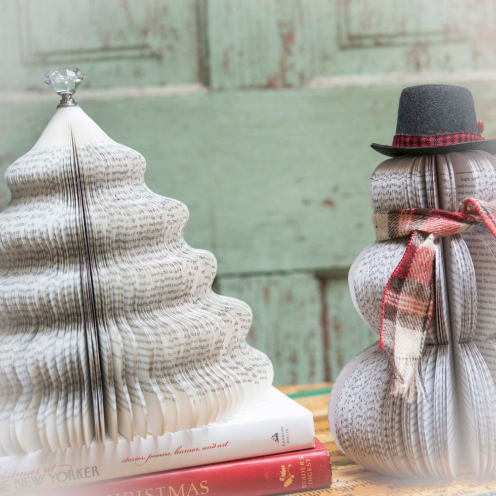 Thumbnail: Book Snowman