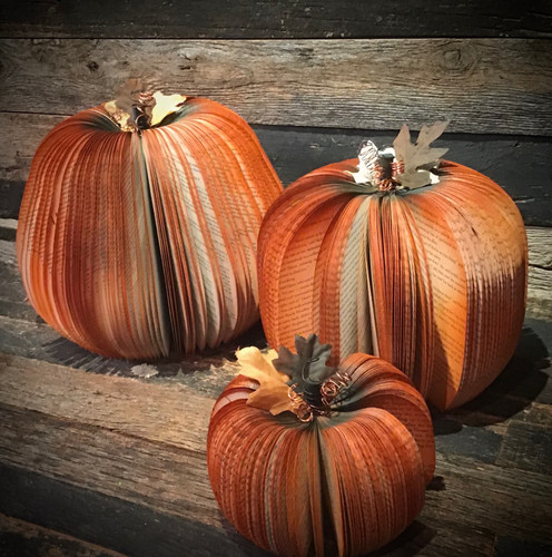 Large Book Pumpkin 9x11 inches | Mysite