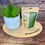 Thumbnail: Reward Coins beside bowl – plant-based training treats for dogs