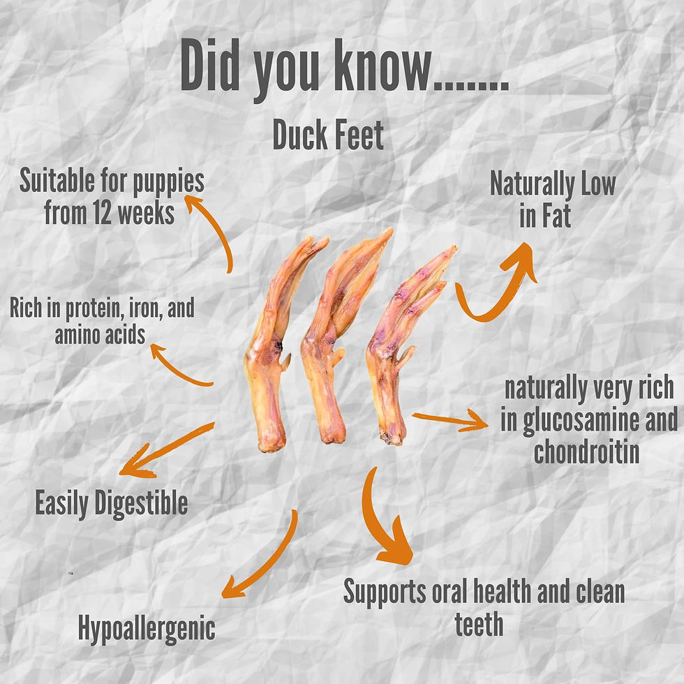 Thumbnail: Duck Feet