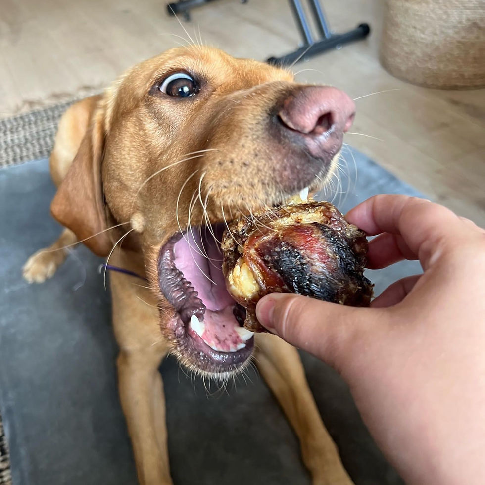 Thumbnail: Beef Knees