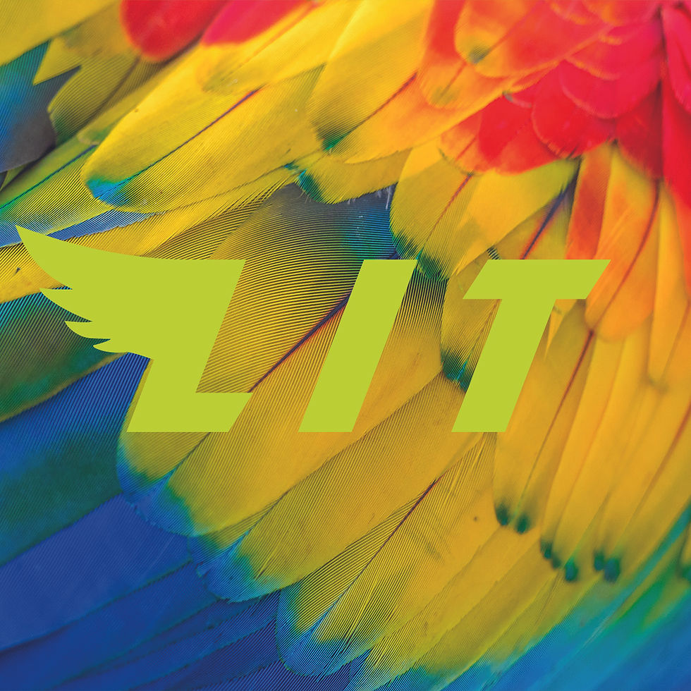 LIT Ibiza Takeover Summer Opening Party - Bank Holiday