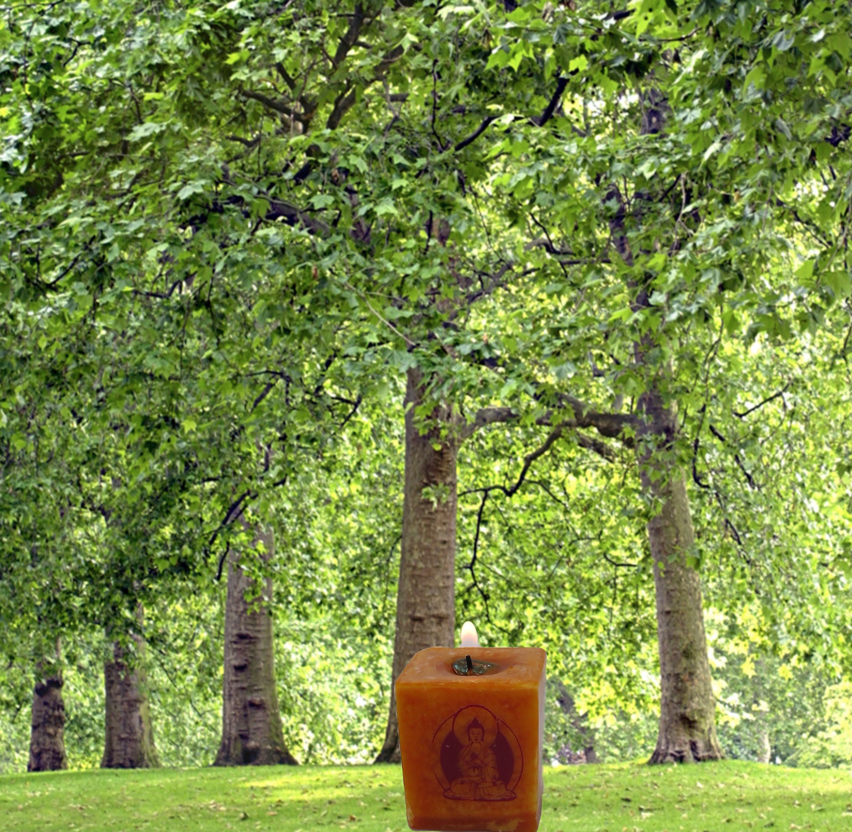 Buddha Meditation Devotion Candle.