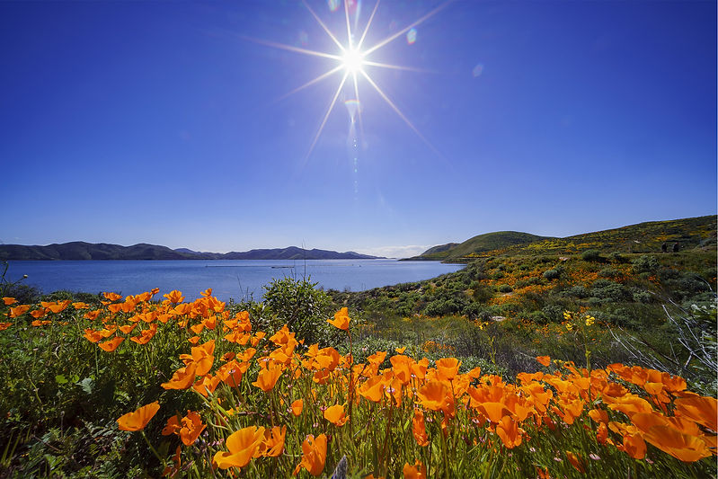 Granite-Hill_0005_AdobeStock_260031254.jpg