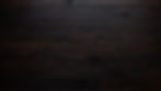 dark-wood-1.jpg