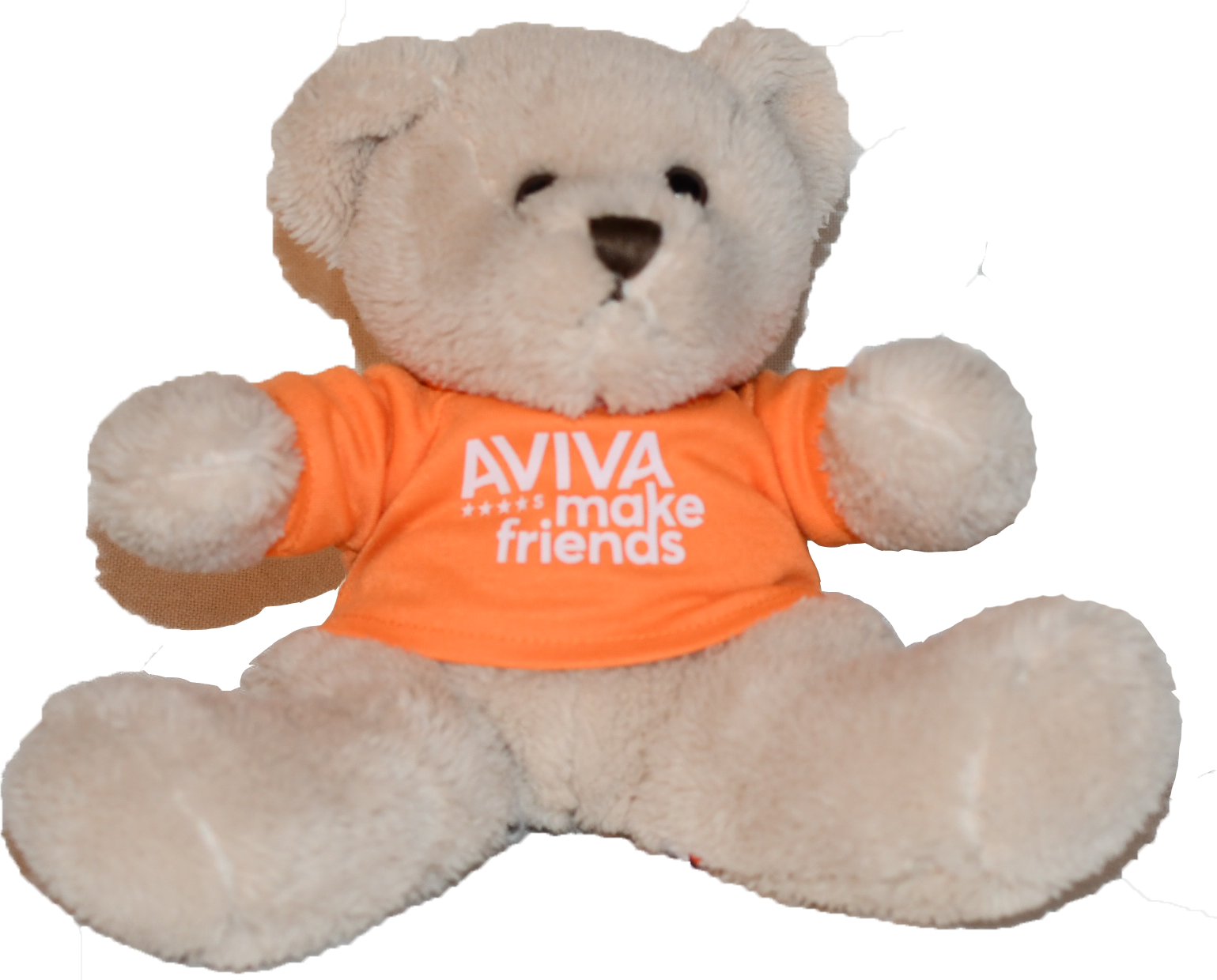 Niedlicher Teddybär mit "AVIVA  make friends" Shirt