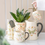 Thumbnail: Fairy Folklore Print Plant Pot